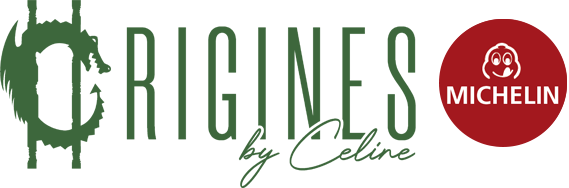 logo origines